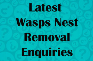 Derbyshire Wasps Nest Removal Enquiries