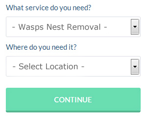 Hook Wasp Nest Removal Services (01256)