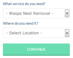 Worcester Wasp Nest Removal Services (01905)
