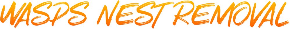 Wasps Nest Removal Worcester Worcestershire
