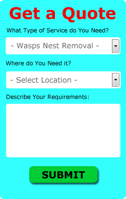 Free Worcester Wasps Nest Removal Quotes